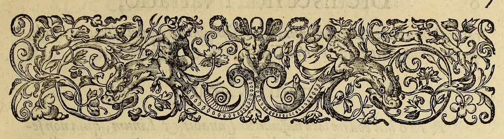 An illustration from Admiranda narratio fida tamen, de commodis et incolarum ritibus Virginiae, nuper admodum ab Anglis, qui à Dn. Richardo Greinvile equestris ordinis viro eò in coloniam anno M.D.LXXXV. : Deducti sunt inuentae, sumtus faciente Dn. VValtero Raleigh equestris ordinis viro fodinaru[m] stanni praefecto ex auctoritate serenissimae Reginae Angliae., 1590, leaf 13