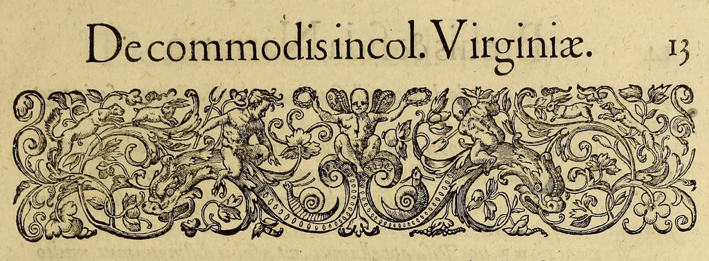 An illustration from Admiranda narratio fida tamen, de commodis et incolarum ritibus Virginiae, nuper admodum ab Anglis, qui à Dn. Richardo Greinvile equestris ordinis viro eò in coloniam anno M.D.LXXXV. : Deducti sunt inuentae, sumtus faciente Dn. VValtero Raleigh equestris ordinis viro fodinaru[m] stanni praefecto ex auctoritate serenissimae Reginae Angliae., 1590, leaf 19