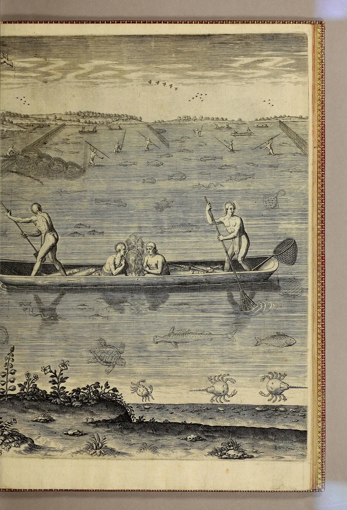 An illustration from Admiranda narratio fida tamen, de commodis et incolarum ritibus Virginiae, nuper admodum ab Anglis, qui à Dn. Richardo Greinvile equestris ordinis viro eò in coloniam anno M.D.LXXXV. : Deducti sunt inuentae, sumtus faciente Dn. VValtero Raleigh equestris ordinis viro fodinaru[m] stanni praefecto ex auctoritate serenissimae Reginae Angliae., 1590, leaf 77
