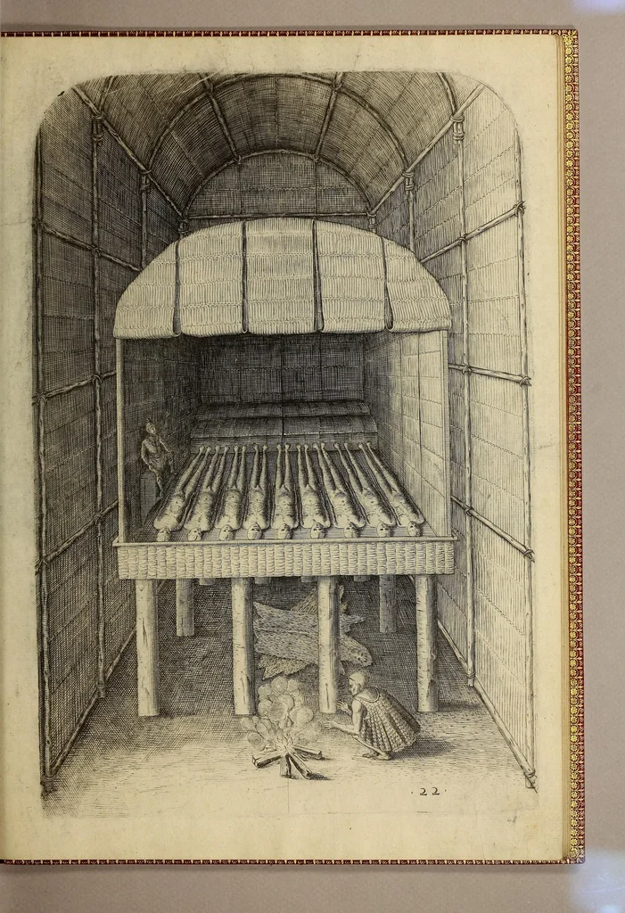 An illustration from Admiranda narratio fida tamen, de commodis et incolarum ritibus Virginiae, nuper admodum ab Anglis, qui à Dn. Richardo Greinvile equestris ordinis viro eò in coloniam anno M.D.LXXXV. : Deducti sunt inuentae, sumtus faciente Dn. VValtero Raleigh equestris ordinis viro fodinaru[m] stanni praefecto ex auctoritate serenissimae Reginae Angliae., 1590, leaf 105