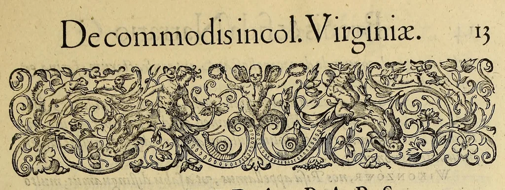 An illustration from Admiranda narratio fida tamen, de commodis et incolarum ritibus Virginiae, nuper admodum ab Anglis, qui à Dn. Richardo Greinvile equestris ordinis viro eò in coloniam anno M.D.LXXXV. : Deducti sunt inuentae, sumtus faciente Dn. VValtero Raleigh equestris ordinis viro fodinaru[m] stanni praefecto ex auctoritate serenissimae Reginae Angliae., 1590, leaf 19