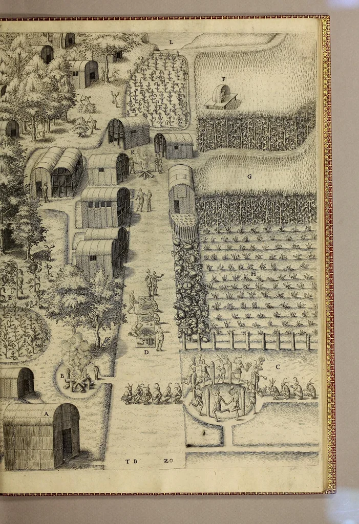 An illustration from Admiranda narratio fida tamen, de commodis et incolarum ritibus Virginiae, nuper admodum ab Anglis, qui à Dn. Richardo Greinvile equestris ordinis viro eò in coloniam anno M.D.LXXXV. : Deducti sunt inuentae, sumtus faciente Dn. VValtero Raleigh equestris ordinis viro fodinaru[m] stanni praefecto ex auctoritate serenissimae Reginae Angliae., 1590, leaf 99