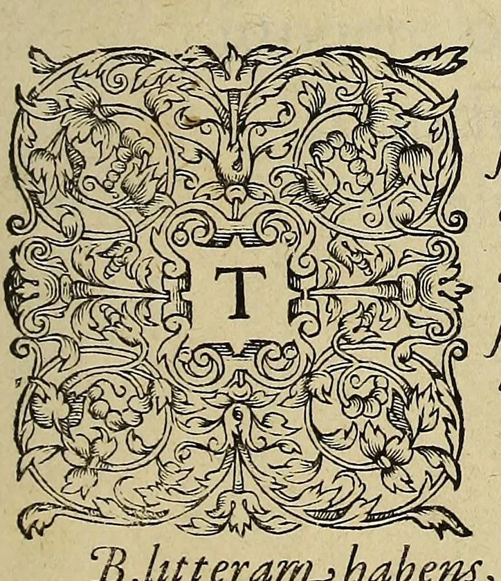 An illustration from Admiranda narratio fida tamen, de commodis et incolarum ritibus Virginiae, nuper admodum ab Anglis, qui à Dn. Richardo Greinvile equestris ordinis viro eò in coloniam anno M.D.LXXXV. : Deducti sunt inuentae, sumtus faciente Dn. VValtero Raleigh equestris ordinis viro fodinaru[m] stanni praefecto ex authoritate serenissimae Reginae Angliae., 1590, leaf 107