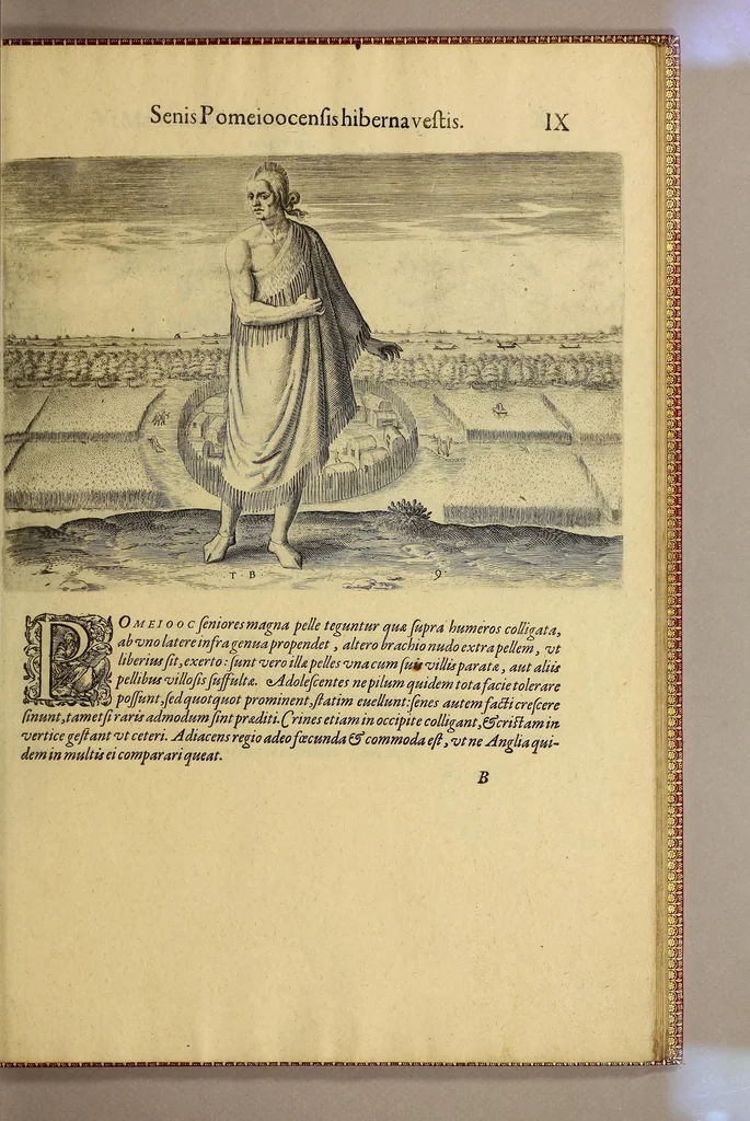 An illustration from Admiranda narratio fida tamen, de commodis et incolarum ritibus Virginiae, nuper admodum ab Anglis, qui à Dn. Richardo Greinvile equestris ordinis viro eò in coloniam anno M.D.LXXXV. : Deducti sunt inuentae, sumtus faciente Dn. VValtero Raleigh equestris ordinis viro fodinaru[m] stanni praefecto ex auctoritate serenissimae Reginae Angliae., 1608, leaf 69