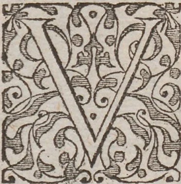 An illustration from Admiranda narratio, fida tamen, de commodis et incolarvm ritibvs Virginiae ... Anglico scripta sermone à Thoma Hariot ... nvnc avtem primvm Latio donata à C.C.A, 1608, leaf 106