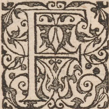 An illustration from Admiranda narratio, fida tamen, de commodis et incolarvm ritibvs Virginiae ... Anglico scripta sermone à Thoma Hariot ... nvnc avtem primvm Latio donata à C.C.A, 1608, leaf 110