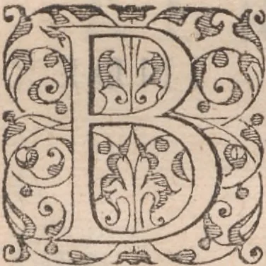 An illustration from Admiranda narratio, fida tamen, de commodis et incolarvm ritibvs Virginiae ... Anglico scripta sermone à Thoma Hariot ... nvnc avtem primvm Latio donata à C.C.A, 1608, leaf 117