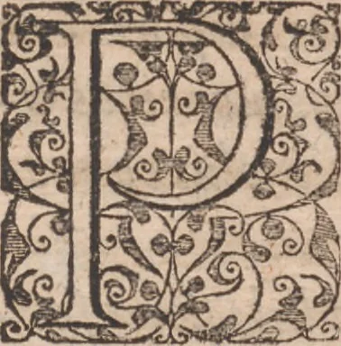 An illustration from Admiranda narratio, fida tamen, de commodis et incolarvm ritibvs Virginiae ... Anglico scripta sermone à Thoma Hariot ... nvnc avtem primvm Latio donata à C.C.A, 1608, leaf 12