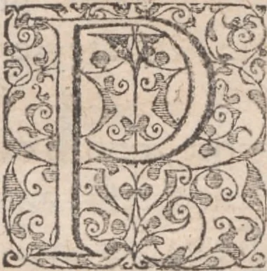 An illustration from Admiranda narratio, fida tamen, de commodis et incolarvm ritibvs Virginiae ... Anglico scripta sermone à Thoma Hariot ... nvnc avtem primvm Latio donata à C.C.A, 1608, leaf 4