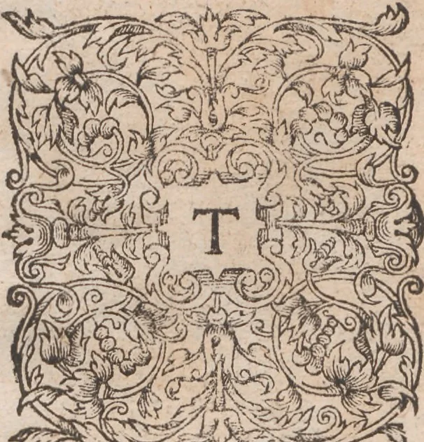 An illustration from Admiranda narratio, fida tamen, de commodis et incolarvm ritibvs Virginiae ... Anglico scripta sermone à Thoma Hariot ... nvnc avtem primvm Latio donata à C.C.A, 1608, leaf 40