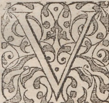 An illustration from Admiranda narratio, fida tamen, de commodis et incolarvm ritibvs Virginiae ... Anglico scripta sermone à Thoma Hariot ... nvnc avtem primvm Latio donata à C.C.A, 1608, leaf 43