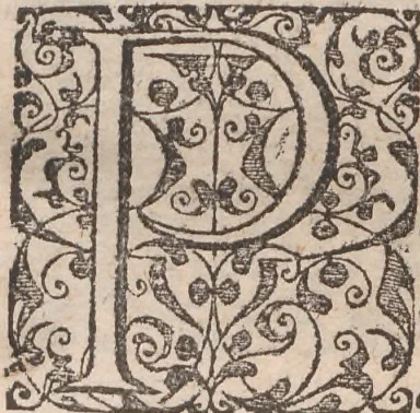 An illustration from Admiranda narratio, fida tamen, de commodis et incolarvm ritibvs Virginiae ... Anglico scripta sermone à Thoma Hariot ... nvnc avtem primvm Latio donata à C.C.A, 1608, leaf 45