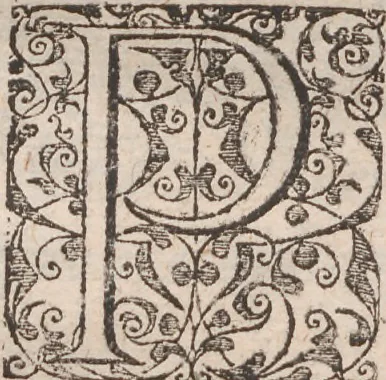 An illustration from Admiranda narratio, fida tamen, de commodis et incolarvm ritibvs Virginiae ... Anglico scripta sermone à Thoma Hariot ... nvnc avtem primvm Latio donata à C.C.A, 1608, leaf 57