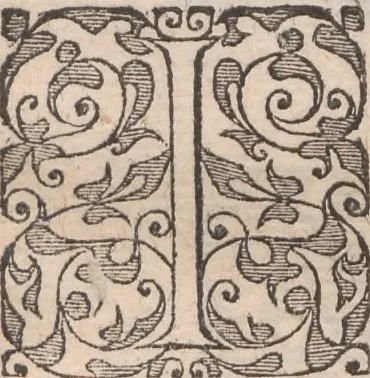 An illustration from Admiranda narratio, fida tamen, de commodis et incolarvm ritibvs Virginiae ... Anglico scripta sermone à Thoma Hariot ... nvnc avtem primvm Latio donata à C.C.A, 1608, leaf 59