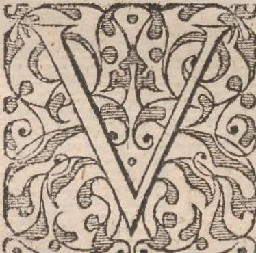 An illustration from Admiranda narratio, fida tamen, de commodis et incolarvm ritibvs Virginiae ... Anglico scripta sermone à Thoma Hariot ... nvnc avtem primvm Latio donata à C.C.A, 1608, leaf 61