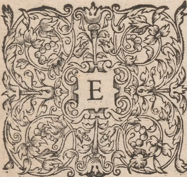 An illustration from Admiranda narratio, fida tamen, de commodis et incolarvm ritibvs Virginiae ... Anglico scripta sermone à Thoma Hariot ... nvnc avtem primvm Latio donata à C.C.A, 1608, leaf 66