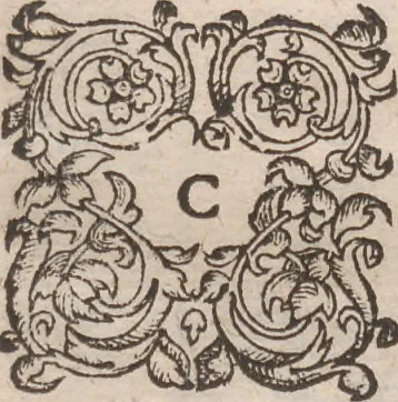 An illustration from Admiranda narratio, fida tamen, de commodis et incolarvm ritibvs Virginiae ... Anglico scripta sermone à Thoma Hariot ... nvnc avtem primvm Latio donata à C.C.A, 1608, leaf 68