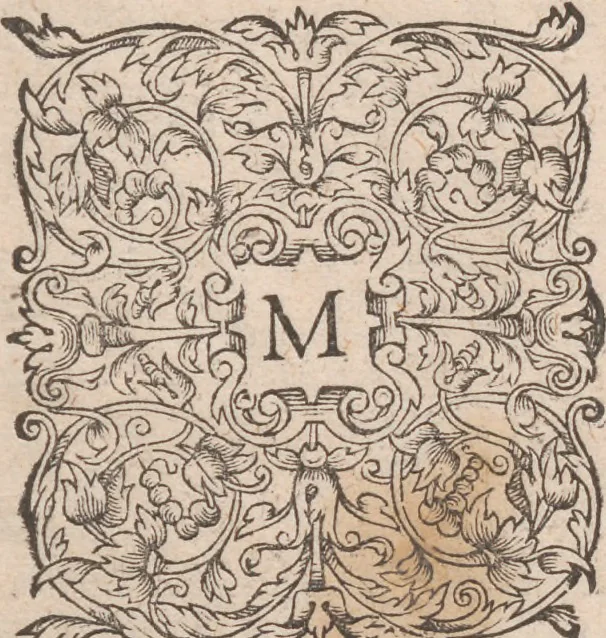 An illustration from Admiranda narratio, fida tamen, de commodis et incolarvm ritibvs Virginiae ... Anglico scripta sermone à Thoma Hariot ... nvnc avtem primvm Latio donata à C.C.A, 1608, leaf 75