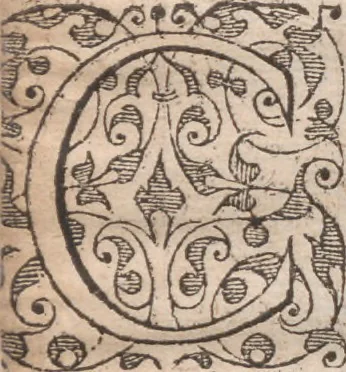 An illustration from Admiranda narratio, fida tamen, de commodis et incolarvm ritibvs Virginiae ... Anglico scripta sermone à Thoma Hariot ... nvnc avtem primvm Latio donata à C.C.A, 1608, leaf 79