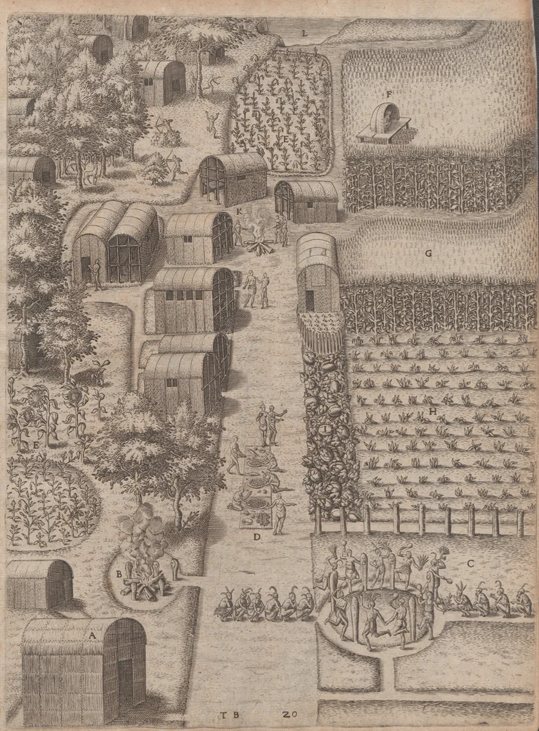 An illustration from Admiranda narratio, fida tamen, de commodis et incolarvm ritibvs Virginiae ... Anglico scripta sermone à Thoma Hariot ... nvnc avtem primvm Latio donata à C.C.A, 1608, leaf 87