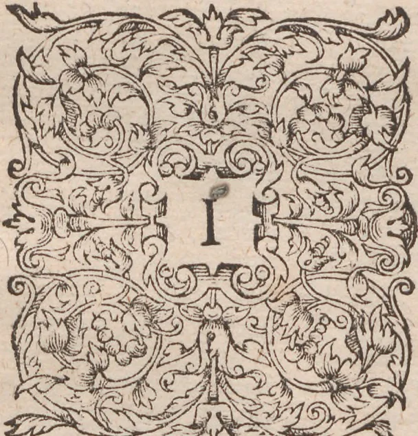 An illustration from Admiranda narratio, fida tamen, de commodis et incolarvm ritibvs Virginiae ... Anglico scripta sermone à Thoma Hariot ... nvnc avtem primvm Latio donata à C.C.A, 1608, leaf 89
