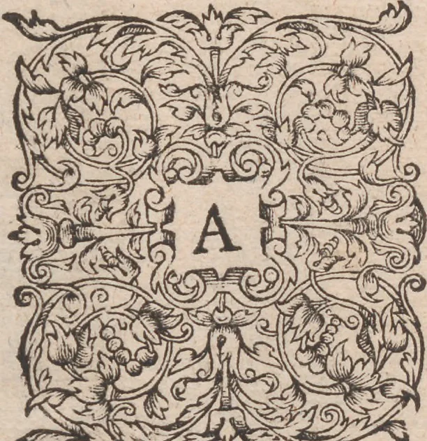 An illustration from Admiranda narratio, fida tamen, de commodis et incolarvm ritibvs Virginiae ... Anglico scripta sermone à Thoma Hariot ... nvnc avtem primvm Latio donata à C.C.A, 1608, leaf 92