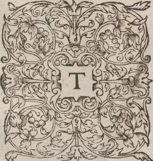An illustration from Admiranda narratio, fida tamen, de commodis et incolarvm ritibvs Virginiae ... Anglico scripta sermone à Thoma Hariot ... nvnc avtem primvm Latio donata à C.C.A, 1608, leaf 95