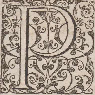 An illustration from Admiranda narratio, fida tamen, de commodis et incolarvm ritibvs Virginiae ... Anglico scripta sermone à Thoma Hariot ... nvnc avtem primvm Latio donata à C.C.A, 1608, leaf 98