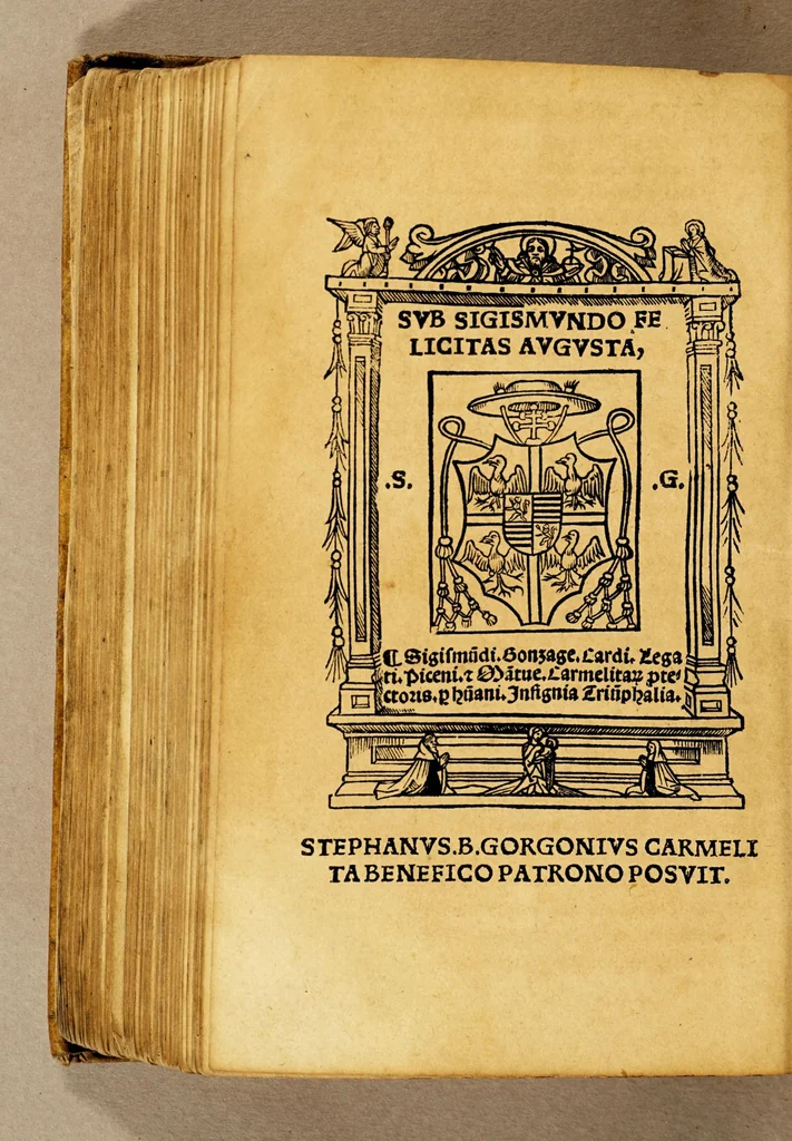 An illustration from Ad mortalium oblectationem. auctoris effigiem. huic. diuino operi: Stephanus Basignanas Gorgonius: Carmelita: theologus: ponendam curauit, 1516, leaf 260