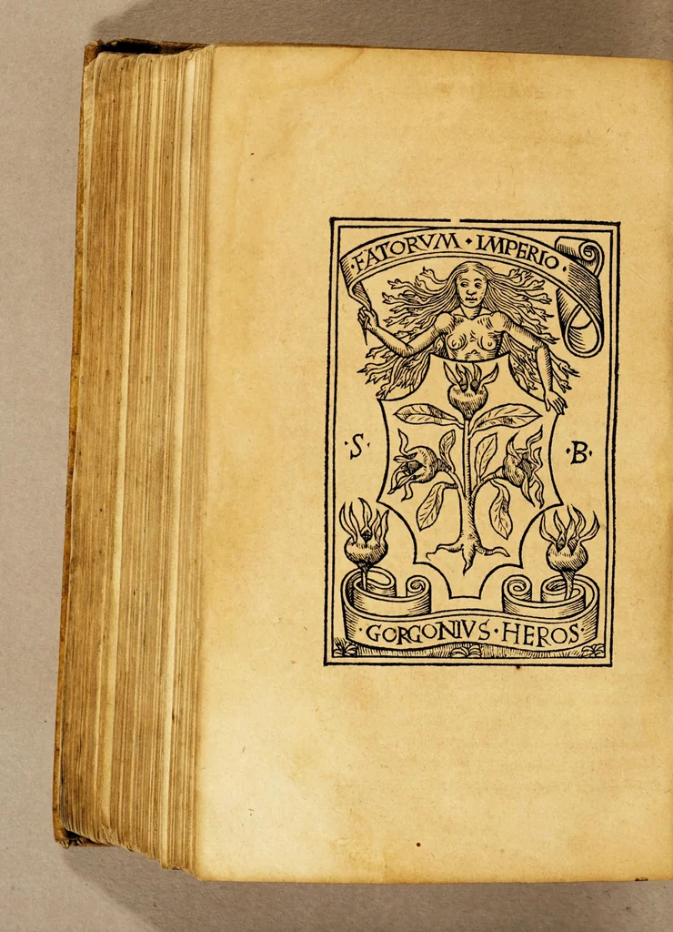 An illustration from Ad mortalium oblectationem. auctoris effigiem. huic. diuino operi: Stephanus Basignanas Gorgonius: Carmelita: theologus: ponendam curauit, 1516, leaf 468