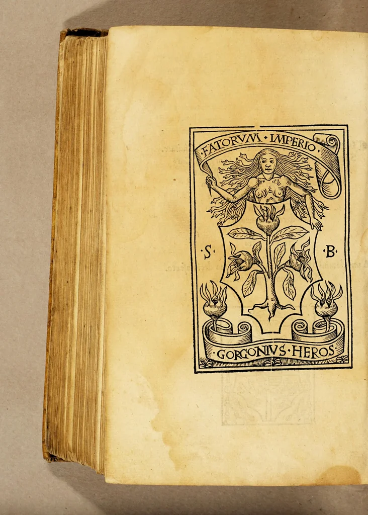 An illustration from Ad mortalium oblectationem. auctoris effigiem. huic. diuino operi: Stephanus Basignanas Gorgonius: Carmelita: theologus: ponendam curauit, 1516, leaf 636