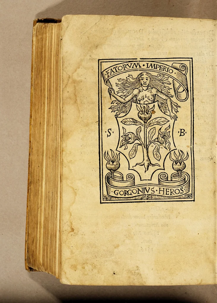 An illustration from Ad mortalium oblectationem. auctoris effigiem. huic. diuino operi: Stephanus Basignanas Gorgonius: Carmelita: theologus: ponendam curauit, 1516, leaf 668