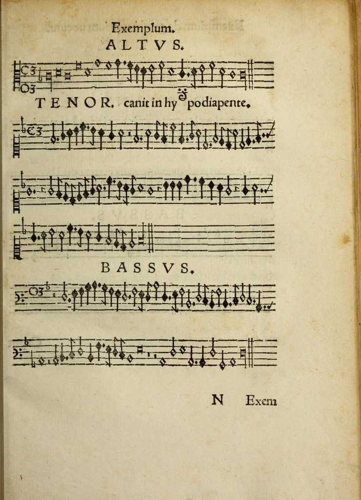 An illustration from Ad musicam practicam introductio : non modo praecepta, sed exempla quoque ad usum puerorum accommodata, quam brevissime continens, 1550, leaf 105