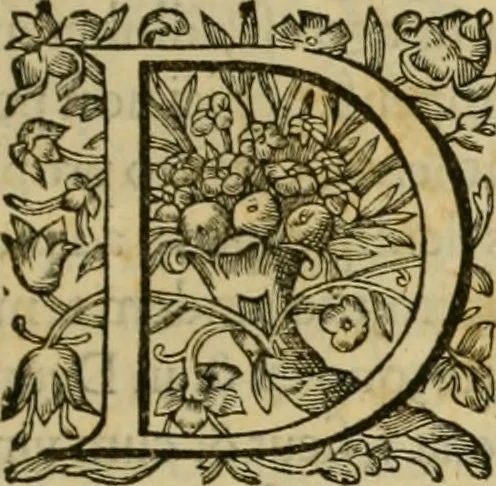 An illustration from Adnotationes et meditationes in Evangelia qvae in sacrosancto Missae sacrificio toto anno legvntur : cum Evangeliorvm concordantia historiae integritati sufficienti : accessit & index historiam ipsam euangelicam in ordinem temporis vitae Christi distribuens, 1595, leaf 14