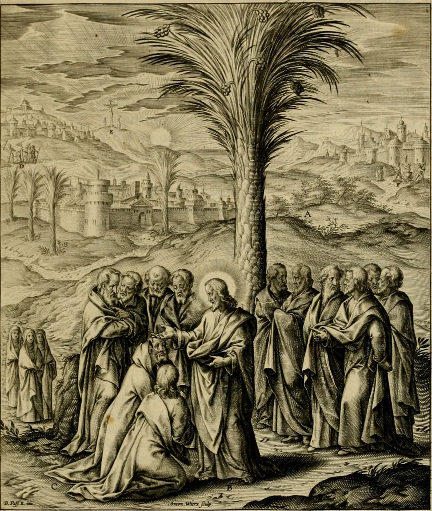 An illustration from Adnotationes et meditationes in Evangelia qvae in sacrosancto Missae sacrificio toto anno legvntur : cum Evangeliorvm concordantia historiae integritati sufficienti : accessit & index historiam ipsam euangelicam in ordinem temporis vitae Christi distribuens, 1595, leaf 208