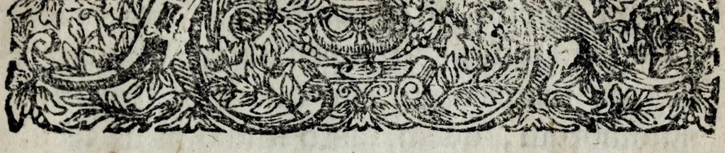 An illustration from Ad nummum Furiæ Sabiniæ Tranquillinæ, Aug. Imp. Gordiani tertii uxoris dissertatio, 1688, leaf 11