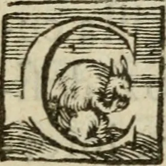 An illustration from Adolescens academicus sub institutione Salomonis, 1633, leaf 12