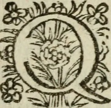 An illustration from Adolescens academicus sub institutione Salomonis, 1633, leaf 132