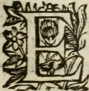 An illustration from Adolescens academicus sub institutione Salomonis, 1633, leaf 176