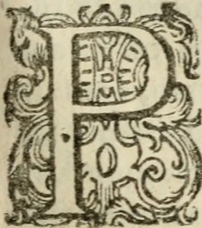 An illustration from Adolescens academicus sub institutione Salomonis, 1633, leaf 218