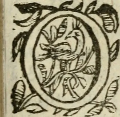 An illustration from Adolescens academicus sub institutione Salomonis, 1633, leaf 246