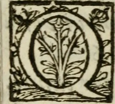 An illustration from Adolescens academicus sub institutione Salomonis, 1633, leaf 310