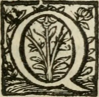 An illustration from Adolescens academicus sub institutione Salomonis, 1633, leaf 432