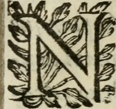 An illustration from Adolescens academicus sub institutione Salomonis, 1633, leaf 56