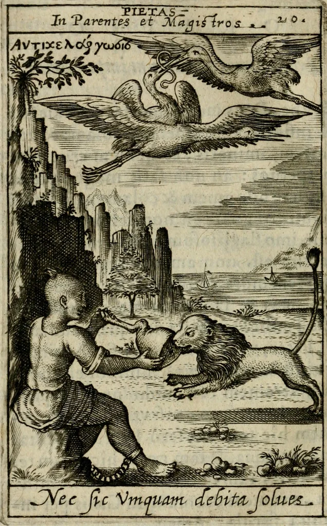An illustration from Adolescens academicus sub institutione Salomonis, 1633, leaf 591