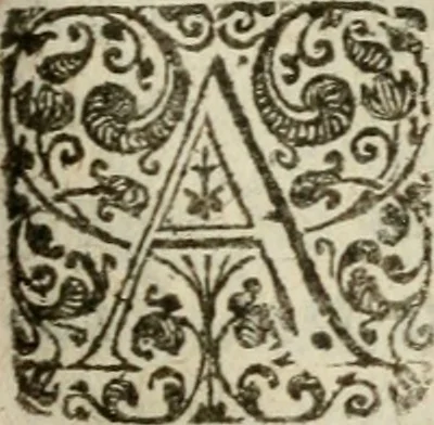 An illustration from Adolescens academicus sub institutione Salomonis, 1633, leaf 594