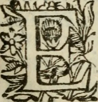 An illustration from Adolescens academicus sub institutione Salomonis, 1633, leaf 630