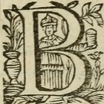 An illustration from Adolescens academicus sub institutione Salomonis, 1633, leaf 76