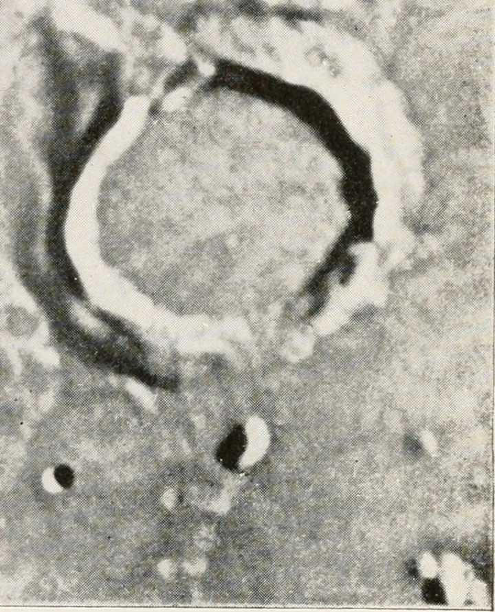 An illustration from The Adolfo Stahl lectures in astronomy, delivered in San Francisco, California, in 1916-17 and 1917-18, under the auspices of the Astronomical Society of the Pacific, 1919, leaf 144
