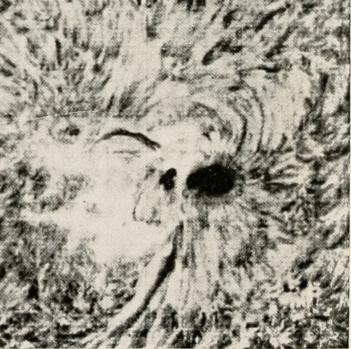 An illustration from The Adolfo Stahl lectures in astronomy, delivered in San Francisco, California, in 1916-17 and 1917-18, under the auspices of the Astronomical Society of the Pacific, 1919, leaf 241